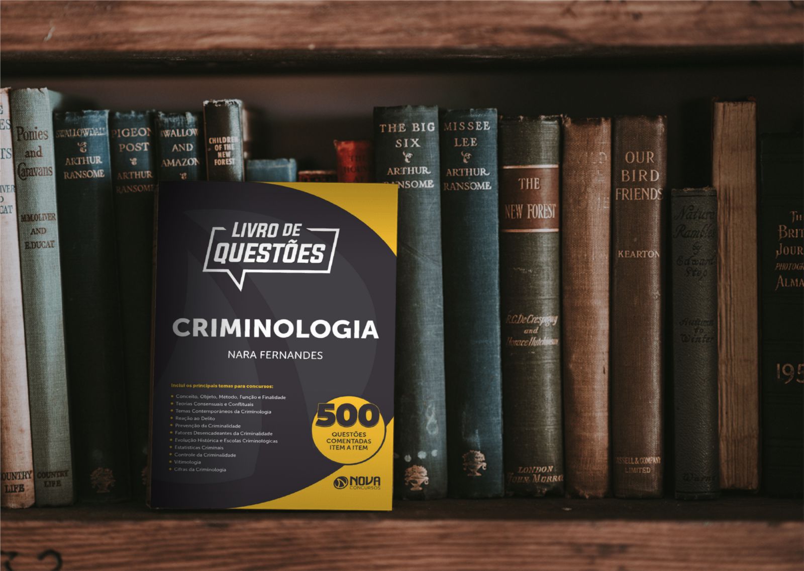 Livro De Quest Es De Criminologia Nara Fernandes Solu O Cursos E