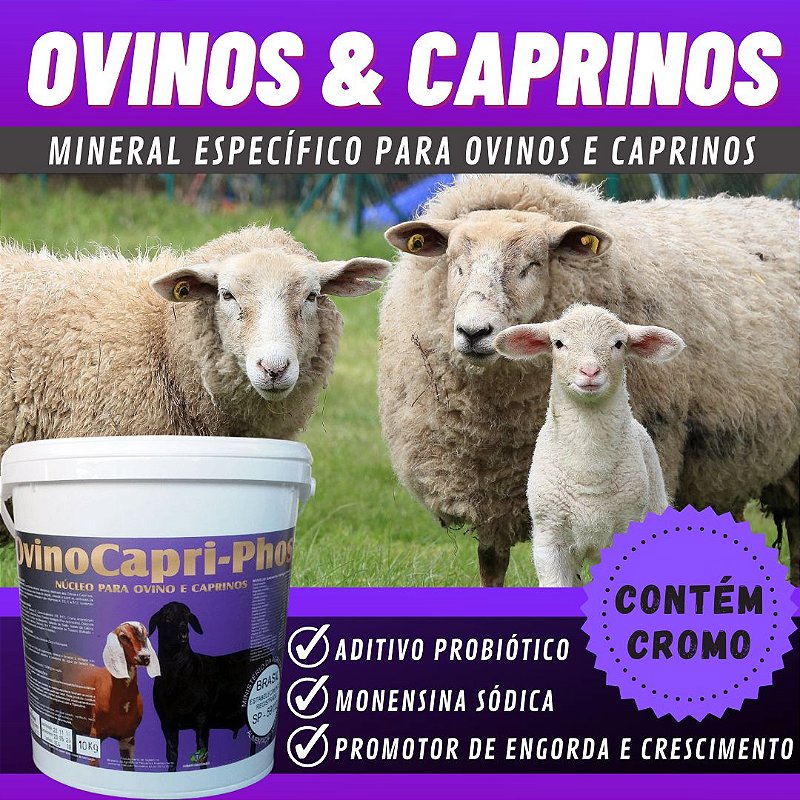 N Cleo Para Caprinos E Cabras N Cleo Para Ovinos N Cleo Para Ovelhas