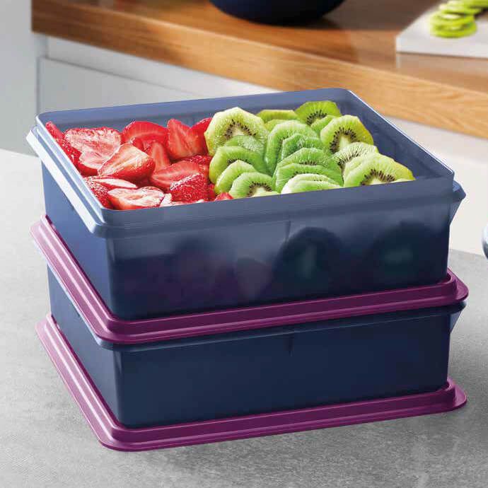 ぷぅー　2個セット Tupperware Caixa Versátil 2,5 litros Azul Naval - Comprar