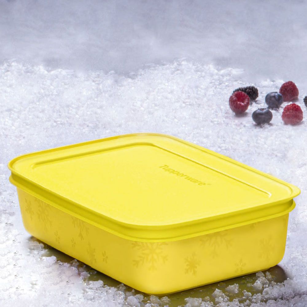 Tupperware Freezer Line kit 8 Peças - Comprar Tupperware Online