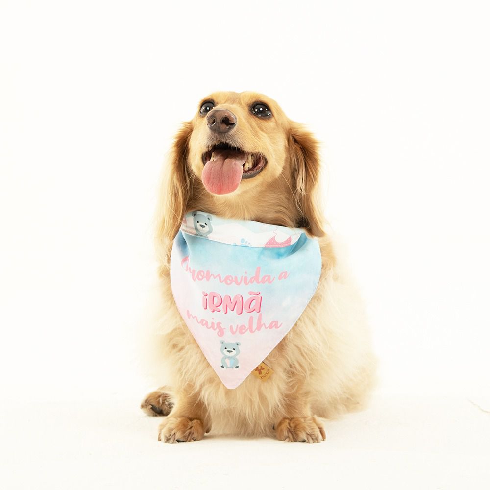Bandana para Cachorros Promovida a Irmã Mais Velha | Bichinho Virtual - Bichinho Virtual Store