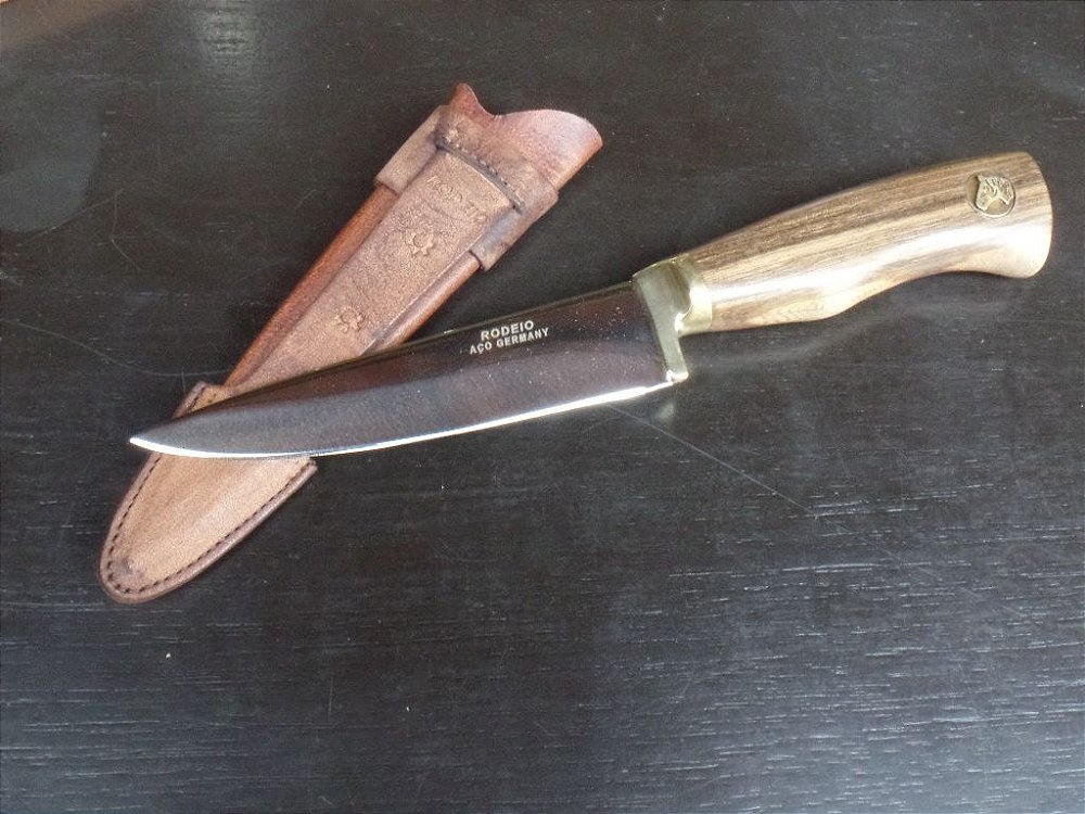 Curriculum vitae padronizado 08 picture