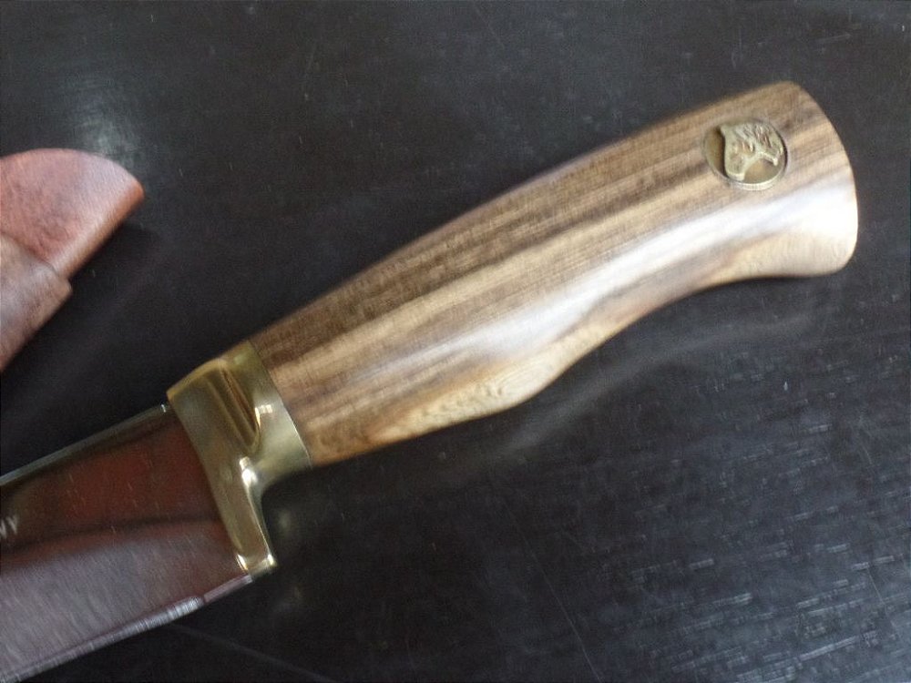 Curriculum vitae padronizado 06 image