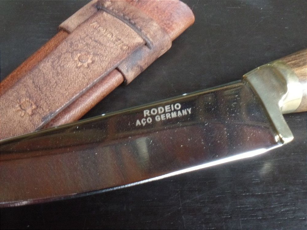 Curriculum vitae padronizado 04 image