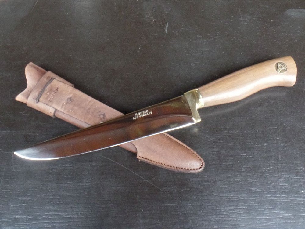 Curriculum vitae padronizado image