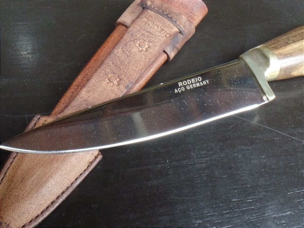 Curriculum vitae padronizado 05 picture