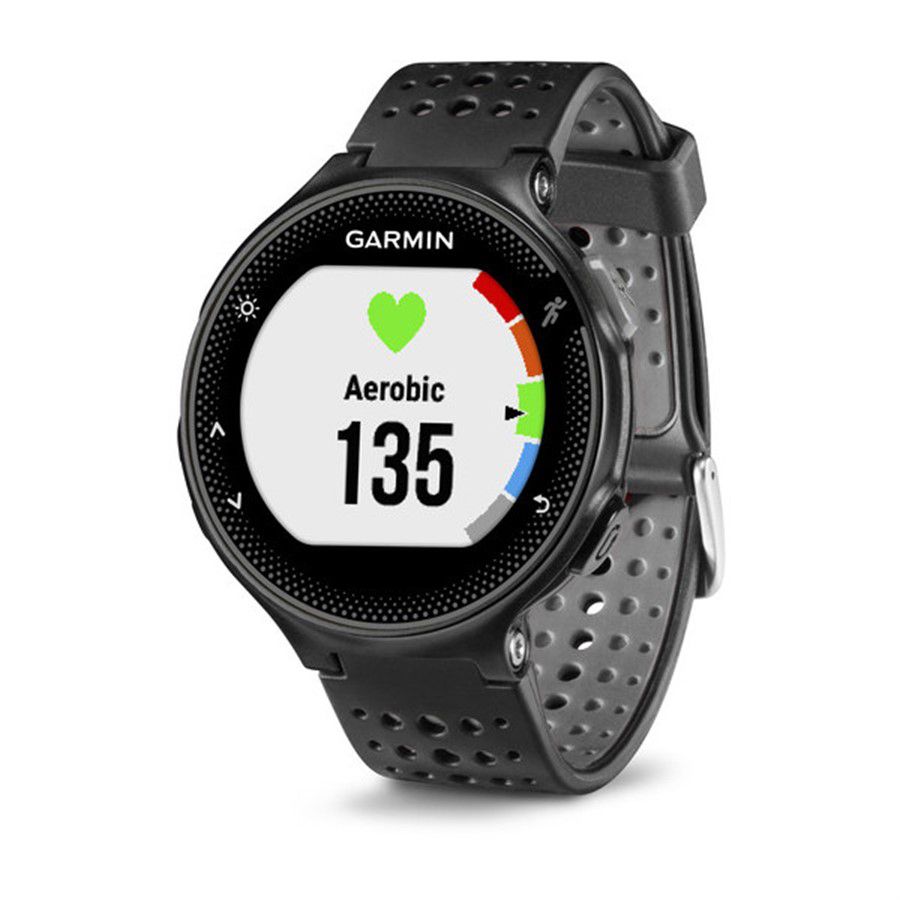 rei forerunner 245