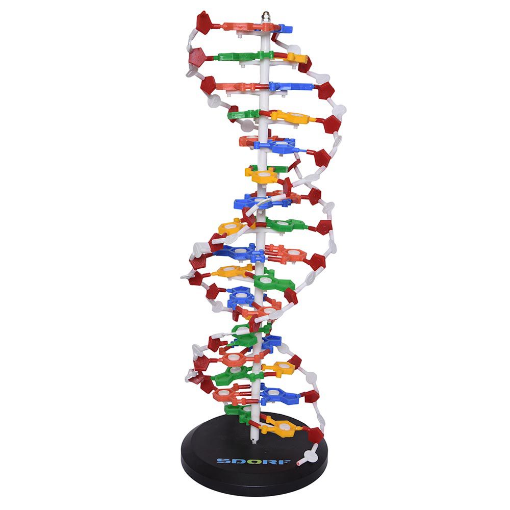 Dupla Hélice em DNA - KitsLab