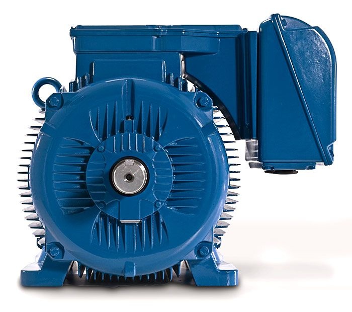 Motor trifásico W22 Plus WEG - Picelli Motores e Bombas - Assistência