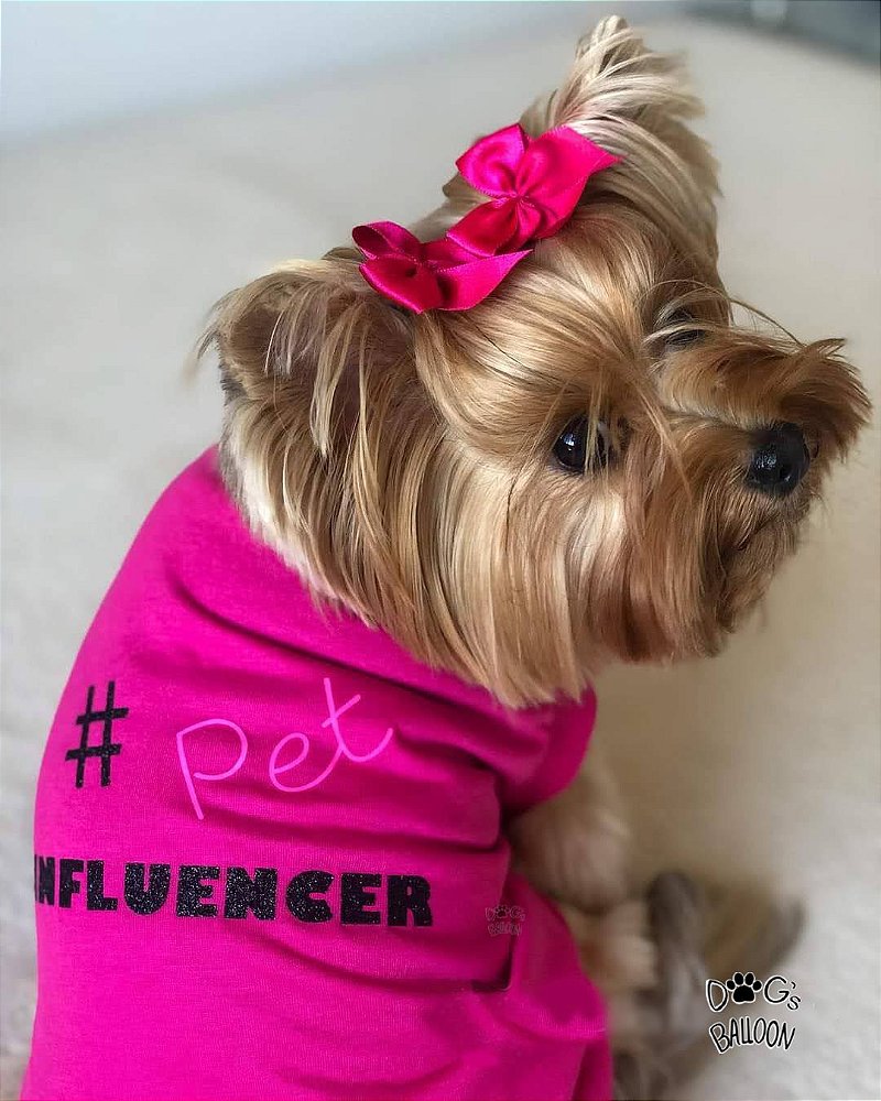 Roupinha para cachorra fêmea Clearance