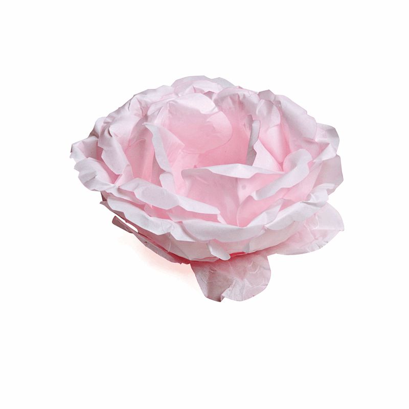 Forminha Begonia Rosa Claro - 20 Unidades na TudemFestas - Tudem Festas -  Embalagens e Festas