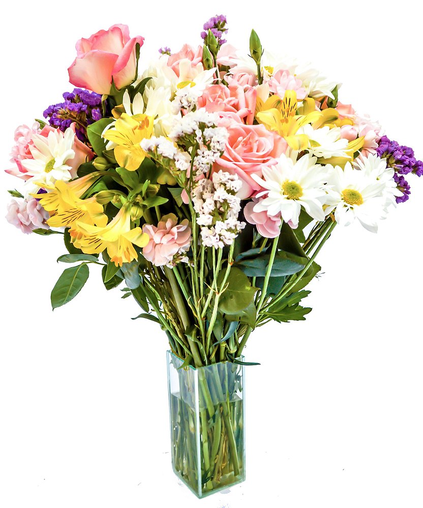 Mix de Flores Coloridas - Estrela Flores Mix de Flores Coloridas - Estrela Flores