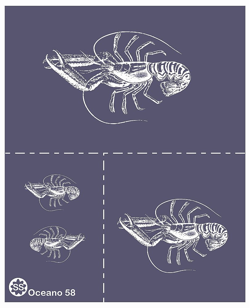 Set Di 2 Cucchiai Per Pompelmo In Acciaio Inox - Con Bordo Ondulato, Per Kiwi E Agrumi - Foto 6