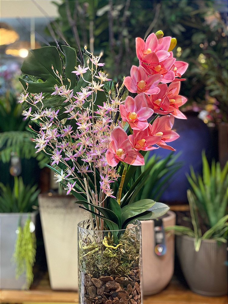 Arranjo de orquídea cymbidium com costela de adão - Eterna Flor | Plantas  Permanentes | Florianópolis, SC