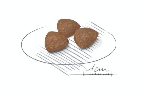Ração Royal Canin Mini Indoor Junior para Cães Filhotes - Dango Pet