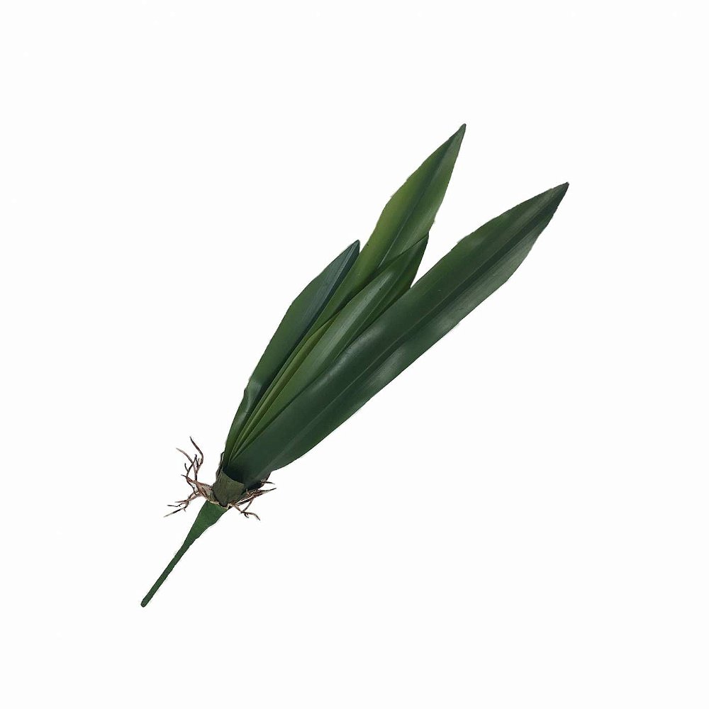 Folha de Orquídea Comprida - Lily Decorações e Flores