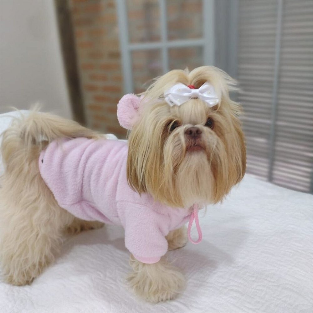 matching dog moletom com capuzs