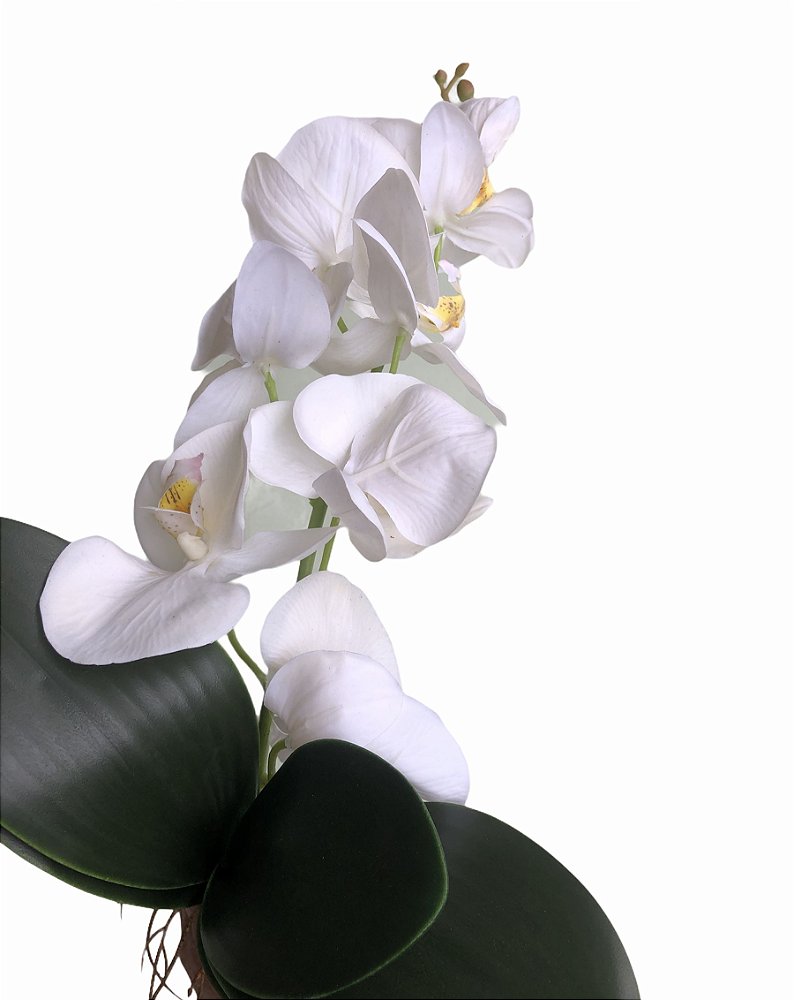 Orquidea Branca Com Folhas E Raizes Silicone - Loren Casa e Presentes