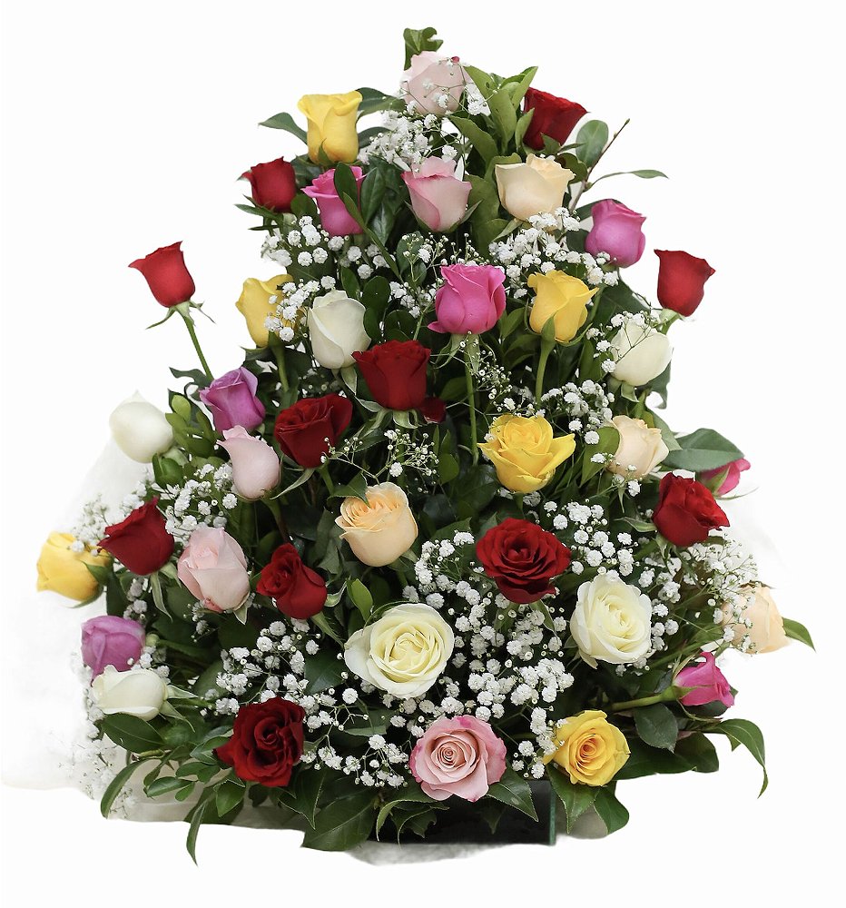 Arranjo de Rosas Coloridas - Camélia Flores | Floricultura, Paisagismo e  Entrega de Flores Online - RJ