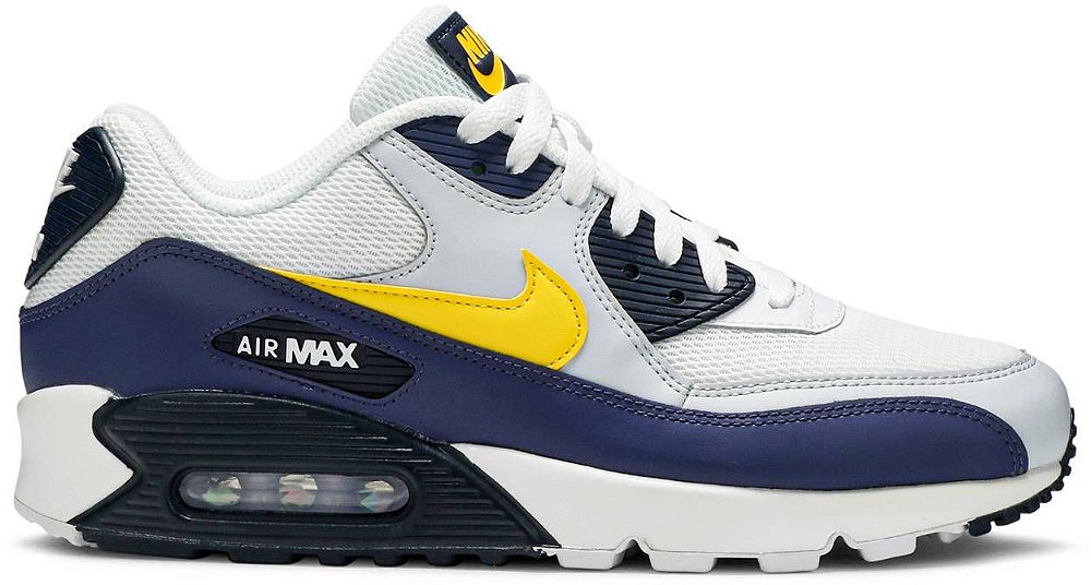 michigan air max 90