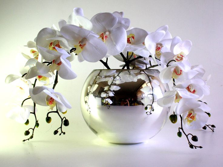 Arranjo de 3 Orquídeas Brancas de Silicone em Vaso de Vidro Cromado Tipo  Aquário - Florescer-Decor | FLORESCER DECOR
