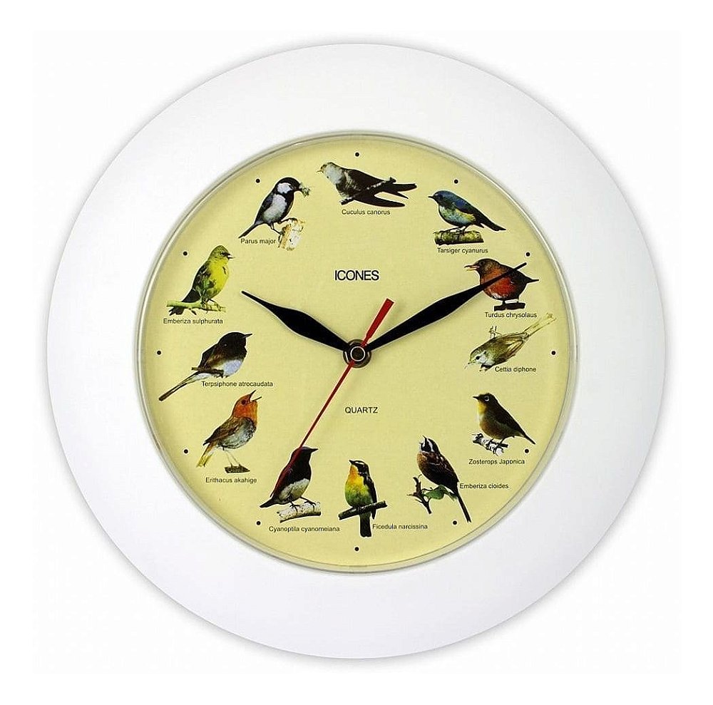 Relógio Parede Canto De Pássaros Mundiais Ícones - Relox Relógios