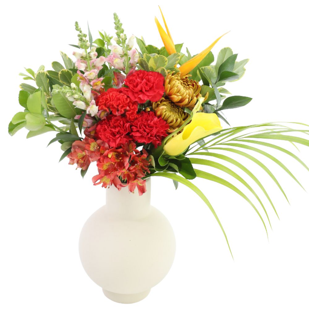 Arranjo de Flor Tropicais no Vaso - Claratí Flores e Plantas | Floricultura  - Compre Flores Online