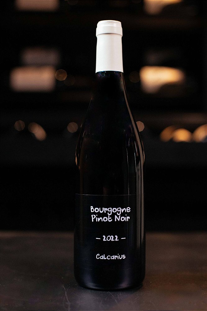 Descubra a Elegância da Borgonha com esse Vinho Tinto Francês 2024