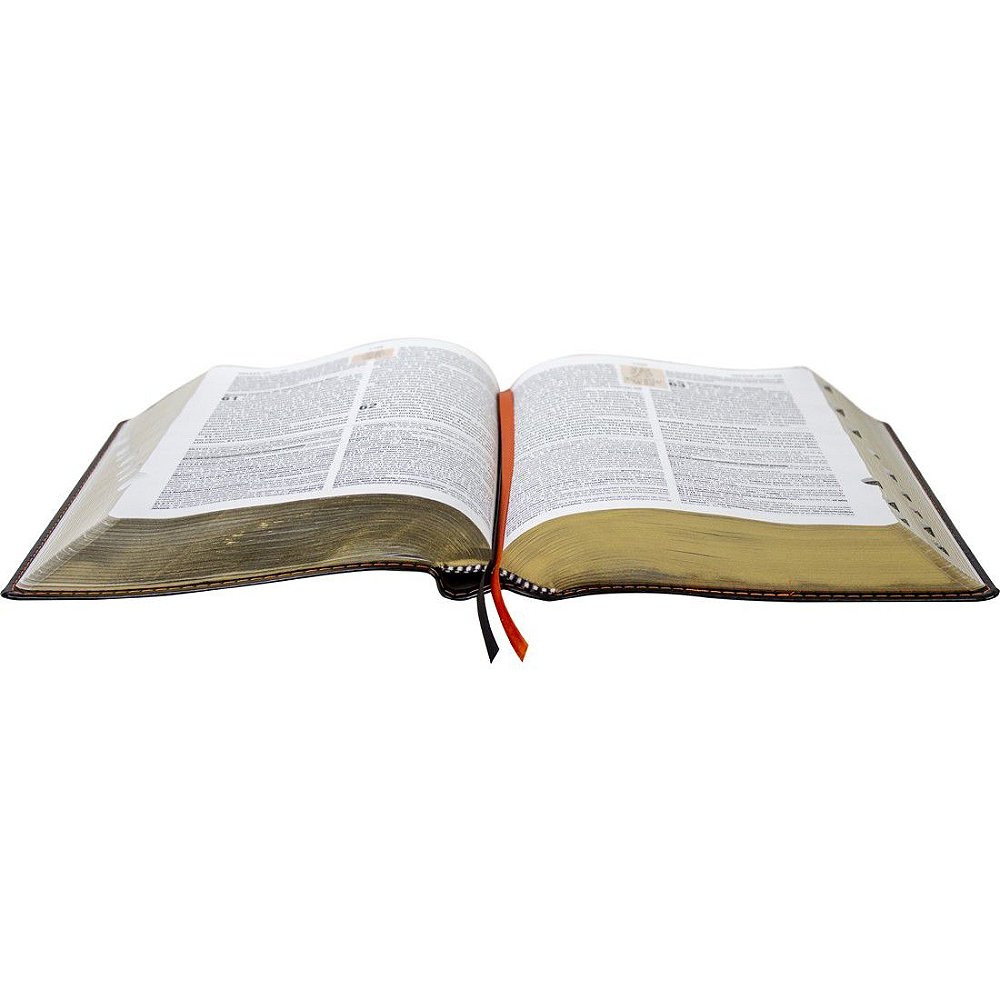 biblia de estudio reina valera 1960 online