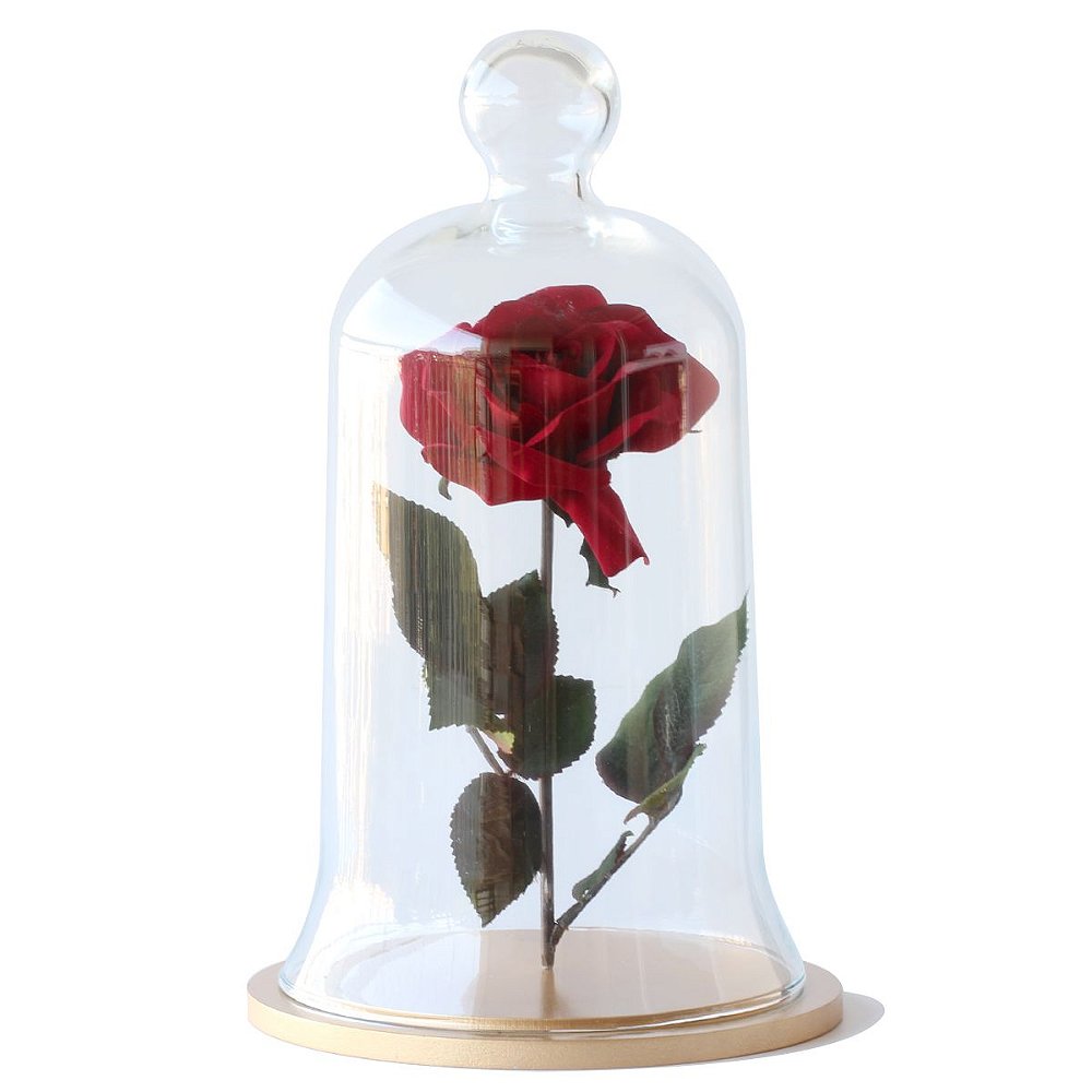 Comprar Redoma de vidro com rosa - base de MDF dourada - Marmelo Casa e  Decoração