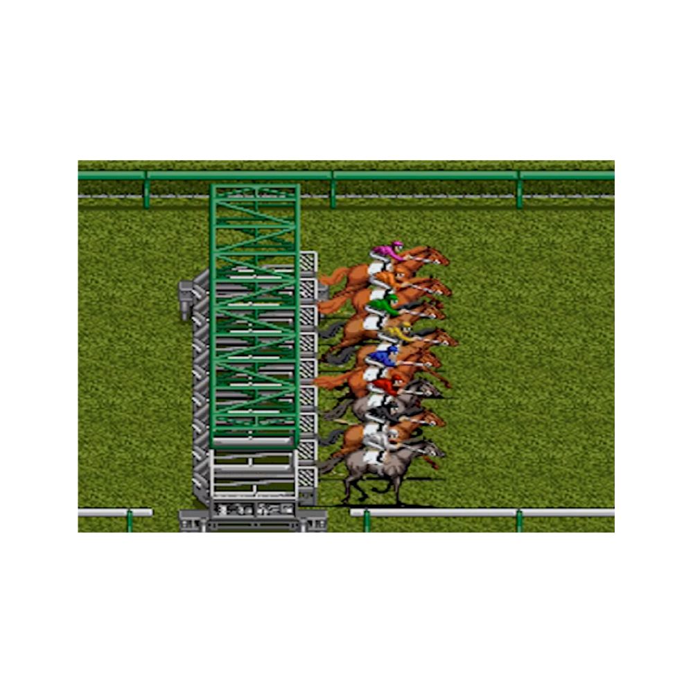 Jogo Thoroughbred Breeder II - Usado - Super Famicom - Xplace Games ...