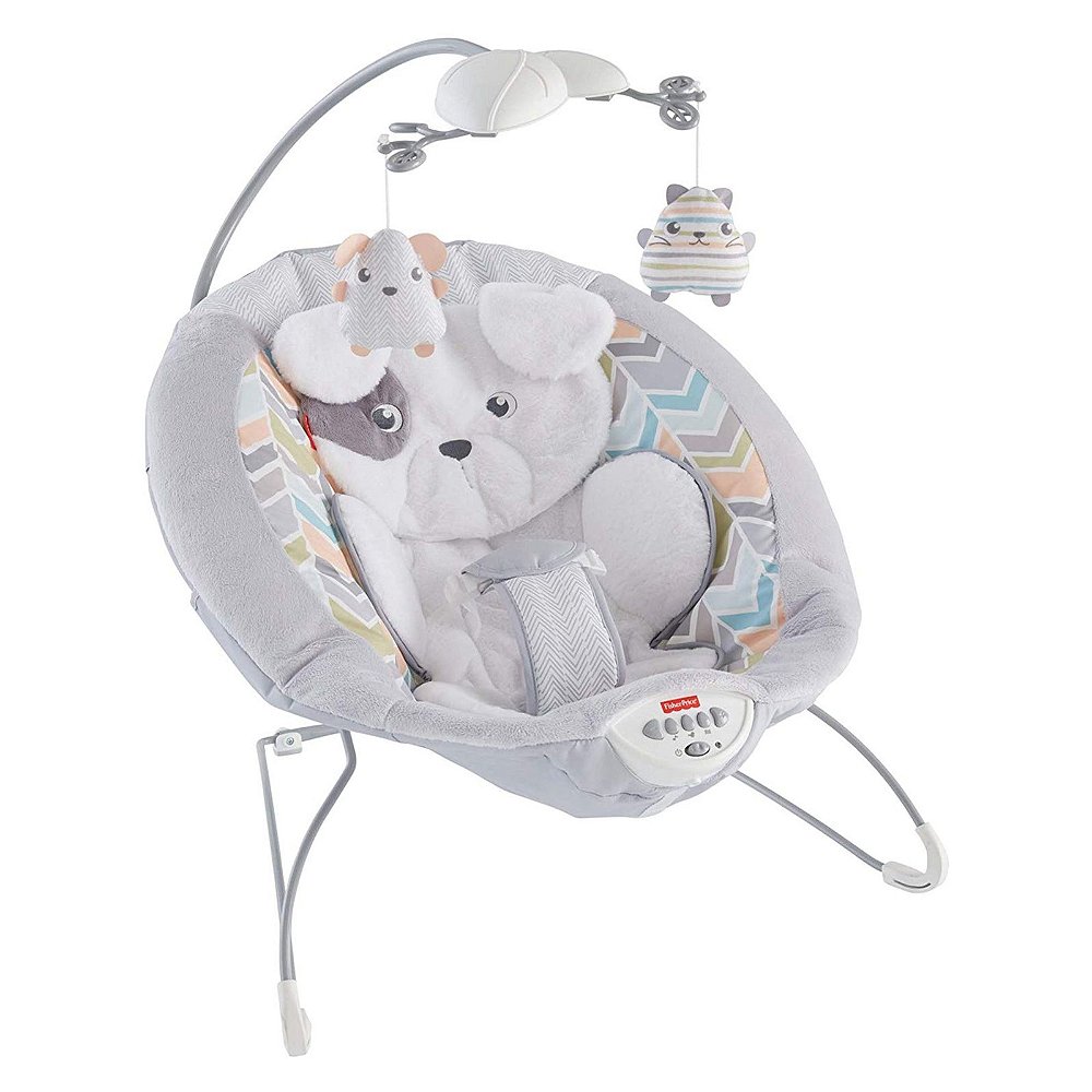 Cadeira de Descanso e Balanço para Bebê Brouncer Fisher Price Super  Confortável - Chic Outlet - Economize com estilo!