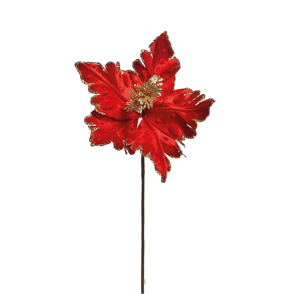 Flor de Natal Poisentia Vermelha de Veludo com Borda Dourada - FLores Cabo  Curto - Ref 1592130 Cromus - CCS Decorações