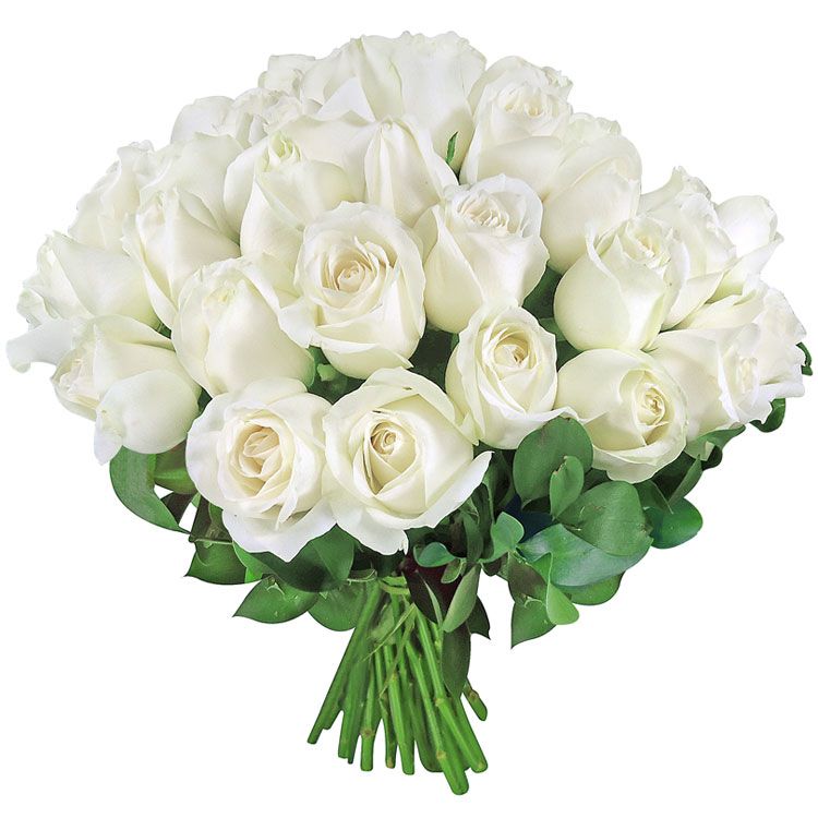 Rosa Branca (Unidade) - Tudo de Bom Cestas e Flores