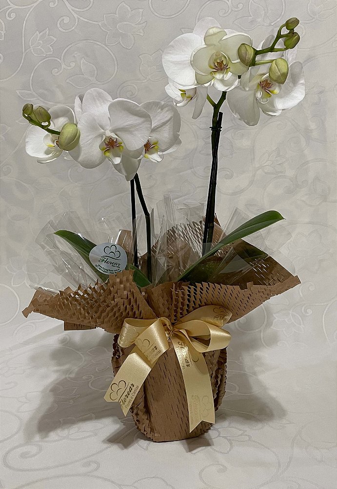 Orquídea Branca Embalada No Kraft - Florear Flores e Cestas