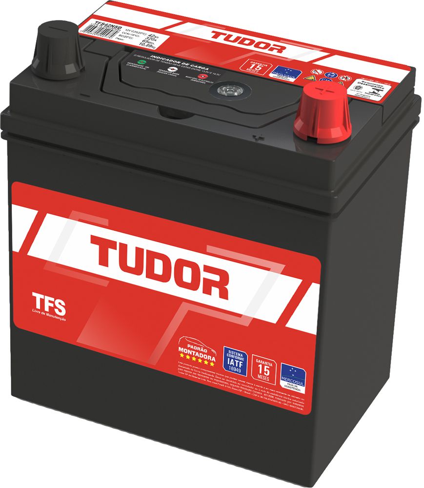 Bateria Tudor Free 42Ah – TFR42NSD | Reis Baterias - Reis Baterias: Pague  em 10X SEM JUROS
