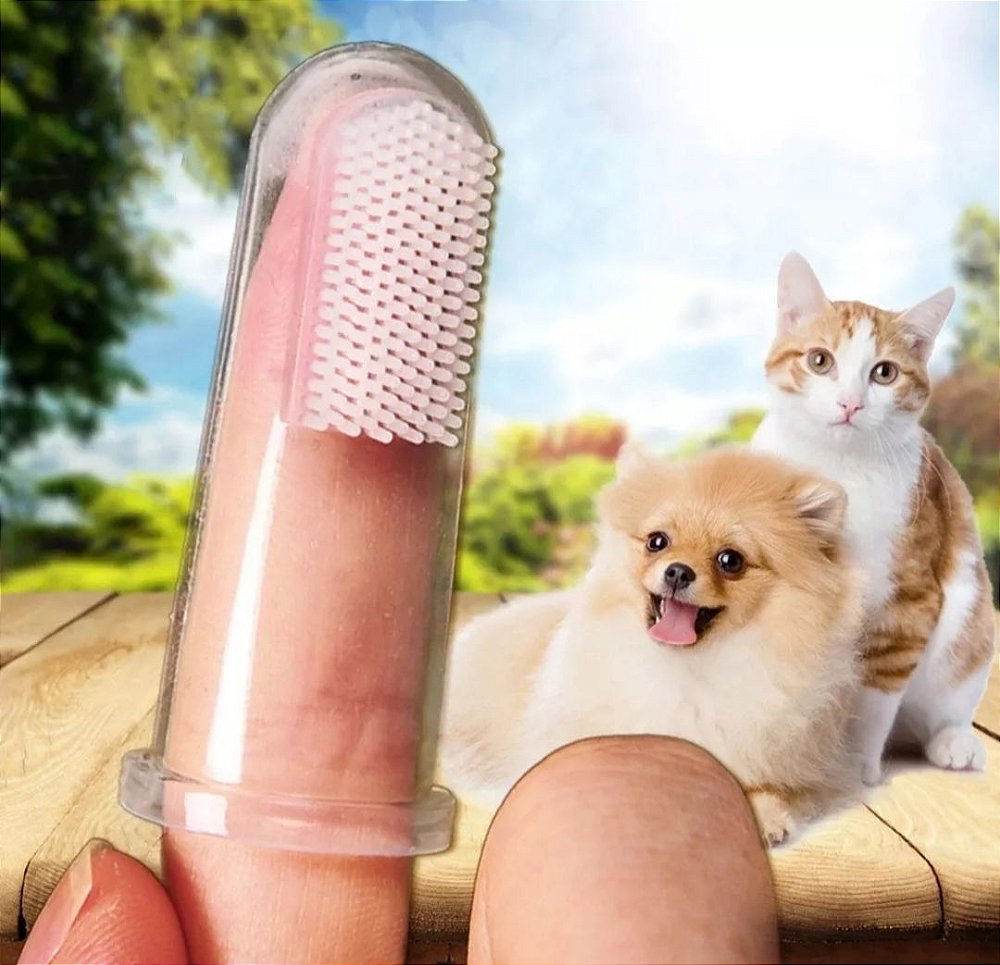 Escova de Dente para cães e gatos - Hateli - Gateira Mania - Loja de  Produtos e Acessorios para Gatos