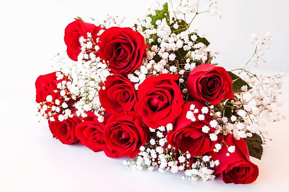 Buquê tradicional de 12 Rosas vermelhas com Egípcio - Fênix Floricultura -  Flores e presentes