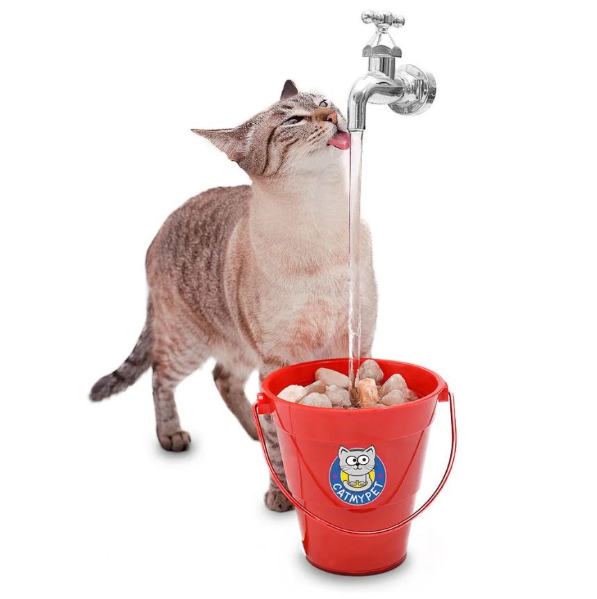 Bebedouro Fonte para Gatos - Torneira MagiCat - Zen Animal - Produtos  Naturais e Especiais para Cães e Gatos.