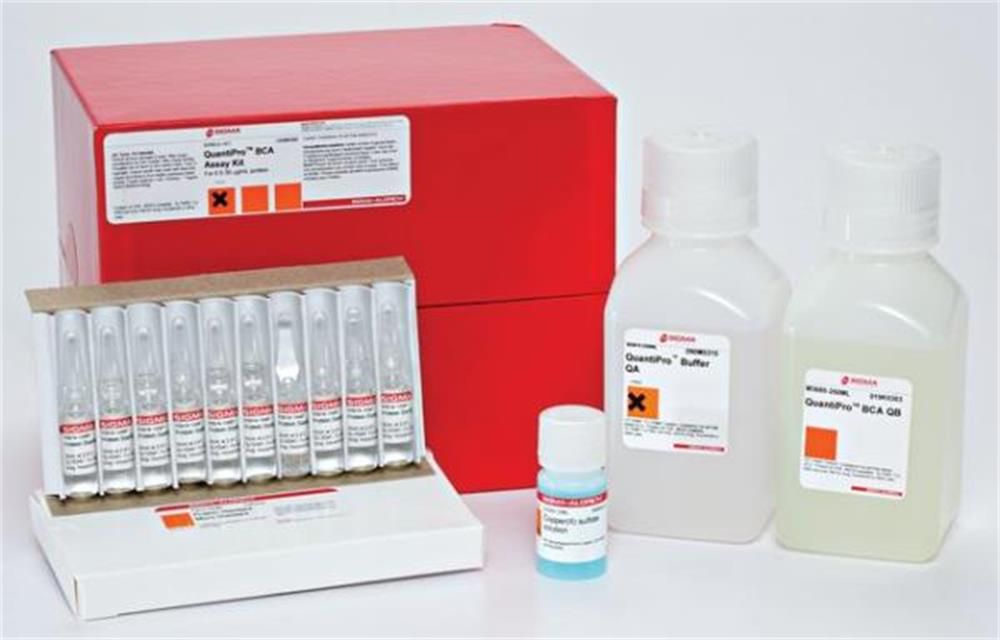 Quantipro™ Bca Assay Kit For 05 30 μgml Protein Qpbca 1kt Sigma Brulab 4162
