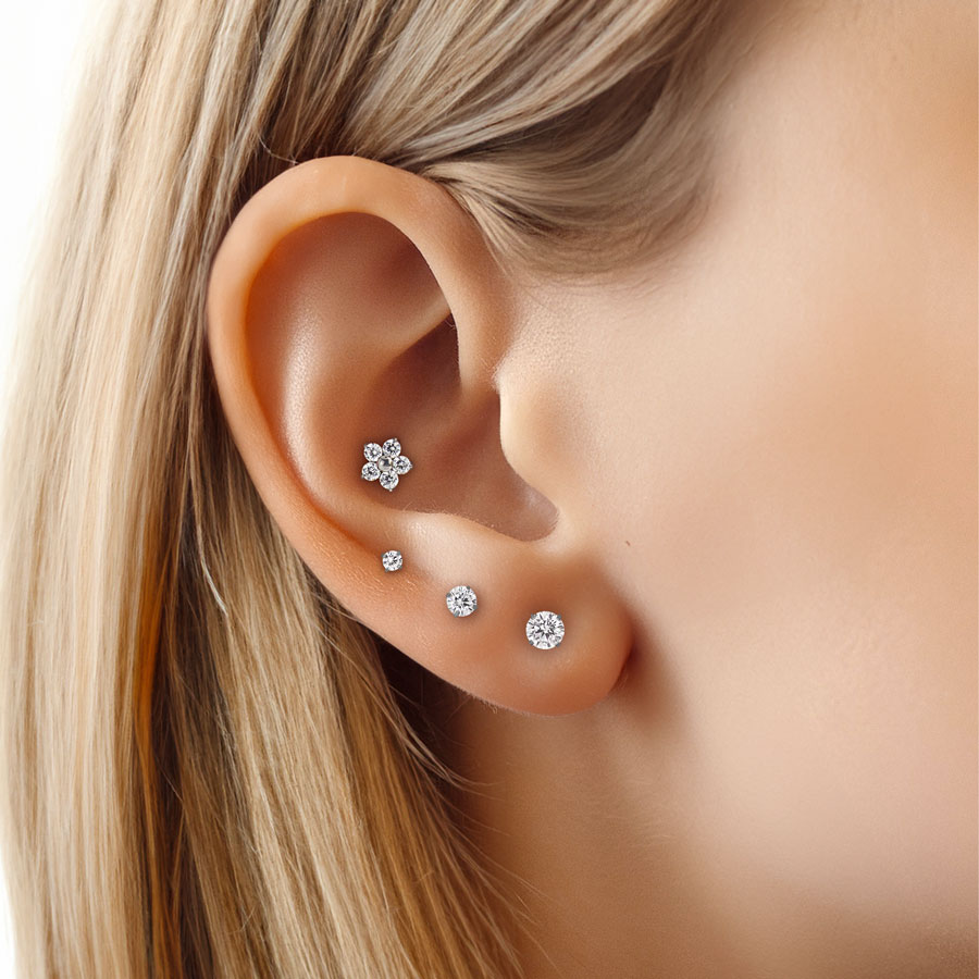 Conch Interno