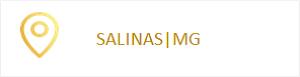 Salinas MG
