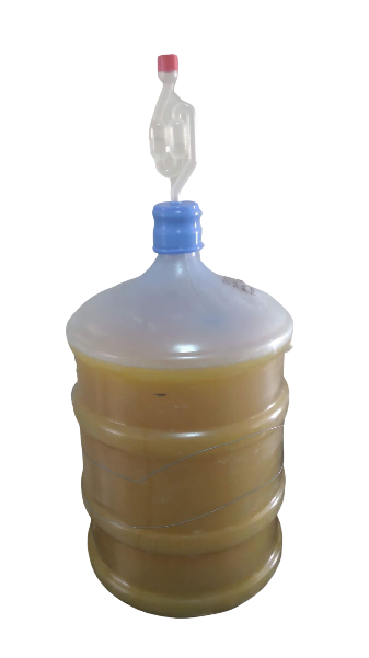 Garrafão de água de 20 litros sendo utilizado como dorna de fermentação de mosto de manga.