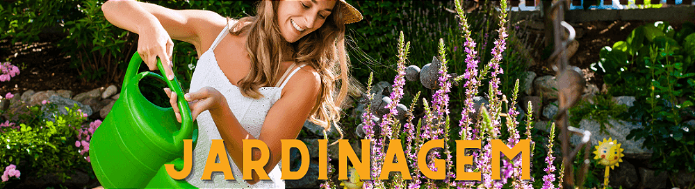 ferramentas de jardinagem para o inverno disponíveis na SuperDepo