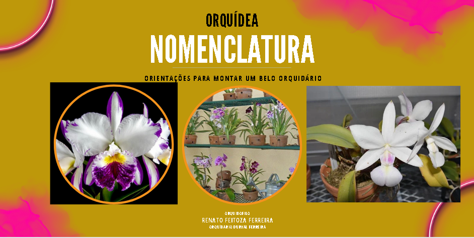 Orquídeas nomenclatura