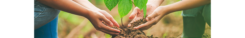 Equipe Fagro em campo