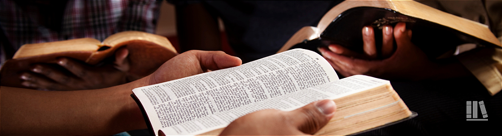 Qual a Melhor Tradução da Bíblia para Você? Entenda as Diferenças e Escolha com Sabedoria!