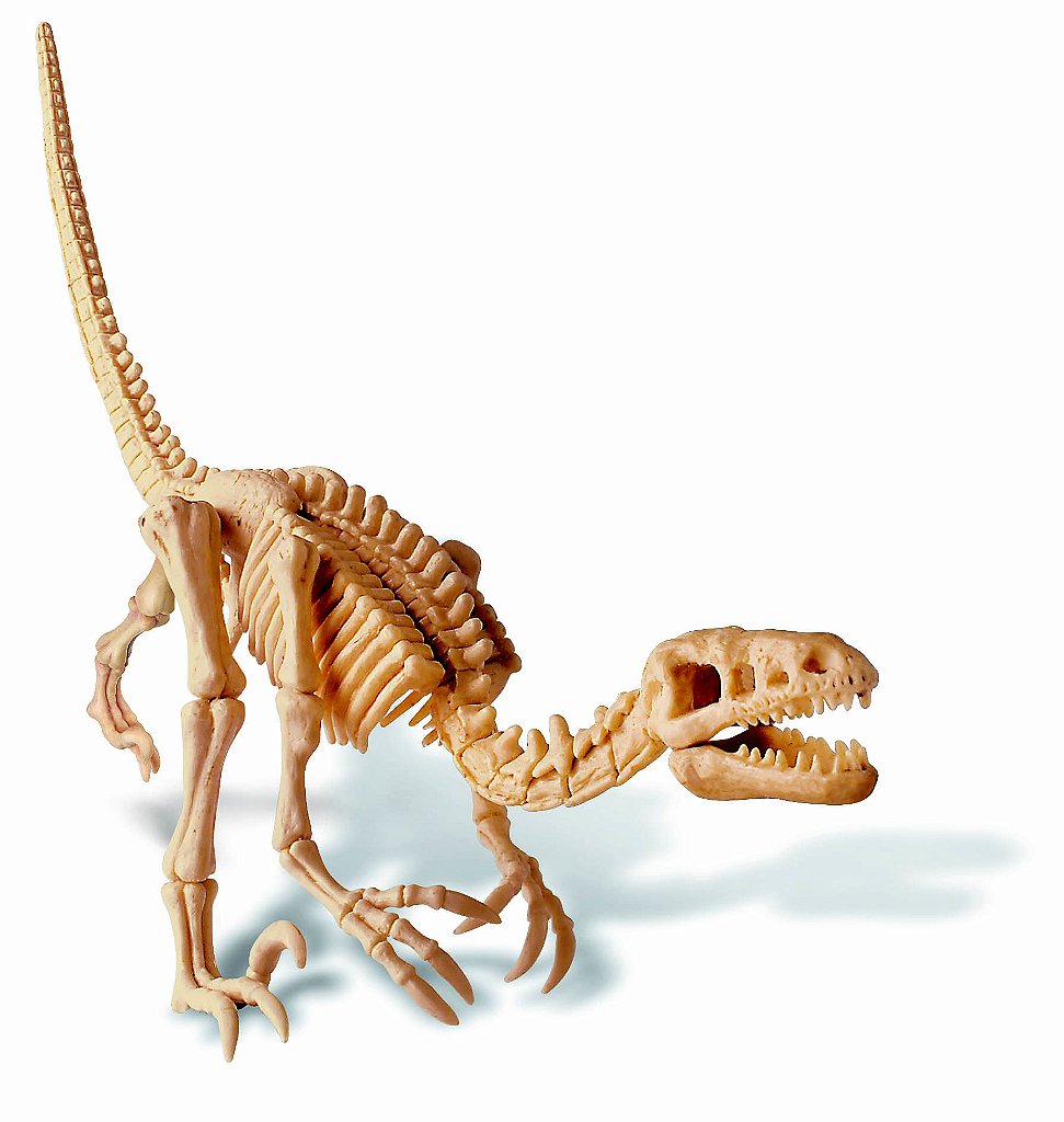 Kit de Escavação de Dinossauro Tiranossauro Rex - Lalalume