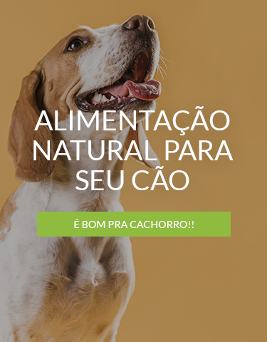 Comprando e Retirando Pets Na STAR PETS 2023- Será Que é Confiável