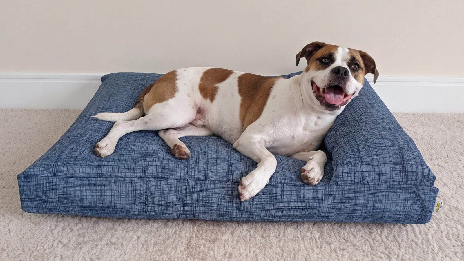 Camas para cachorros grandes e cães de grande porte